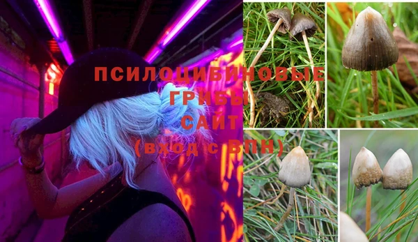 скорость Алексин