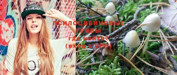 эйфоретик Алексеевка