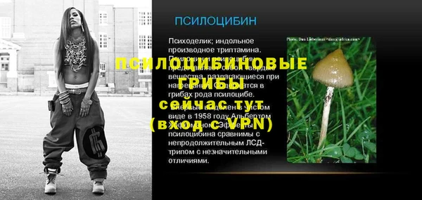 эйфоретик Алексеевка