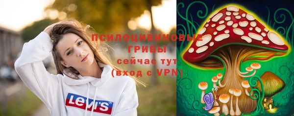 эйфоретик Алексеевка